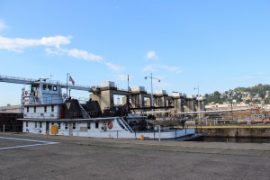 IMG_0950